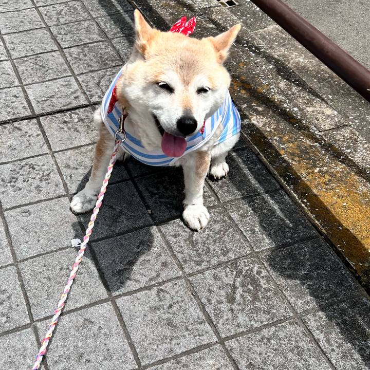 0f3b6385 c215 4c11 852a c2cfd797ad6e 1747883659949