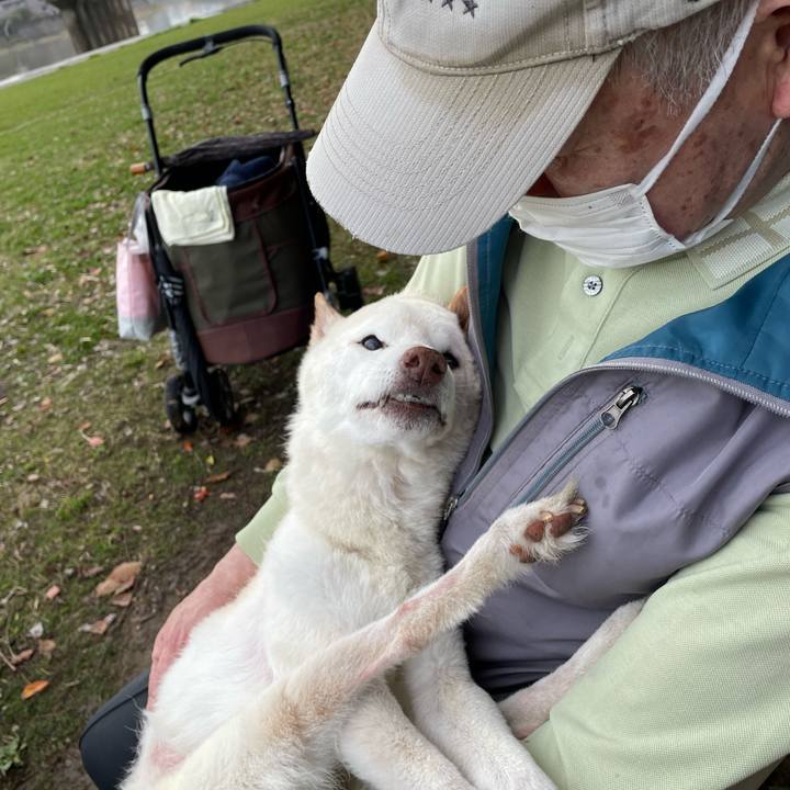 0f3b683a f066 4cb7 948e f5826d9daf0f 1679566909455