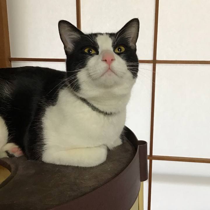 0f3b963b 0c03 42e2 8b5c 3d020bfd8024 1646867666611