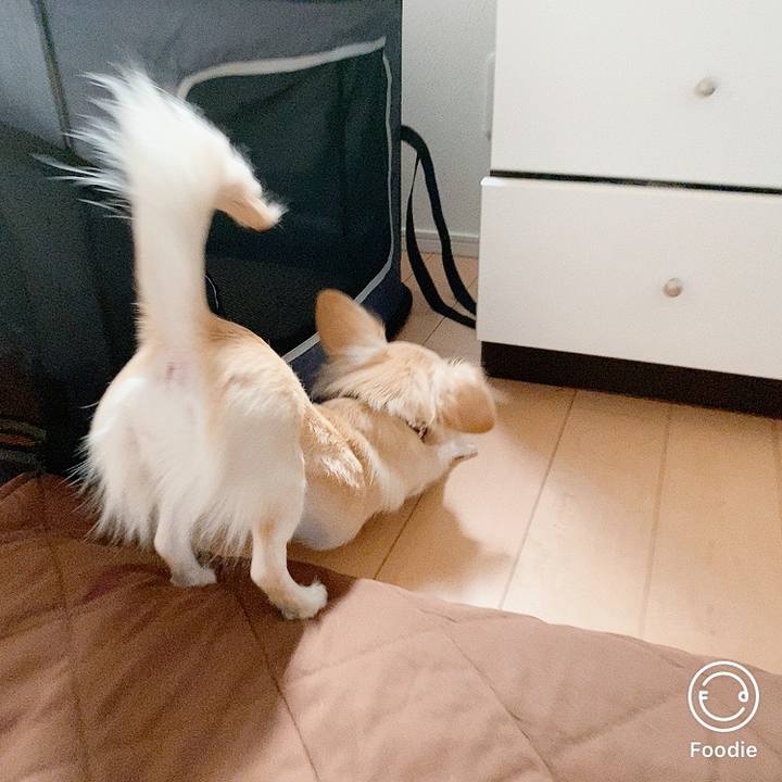 0f3bb9ed 751f 4a39 b3e8 df59b1c2e122 1605309344102