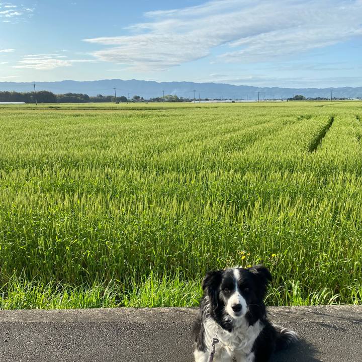 0f3bc577 a1e6 416b 9317 5ce181bc5de9 1617406700149