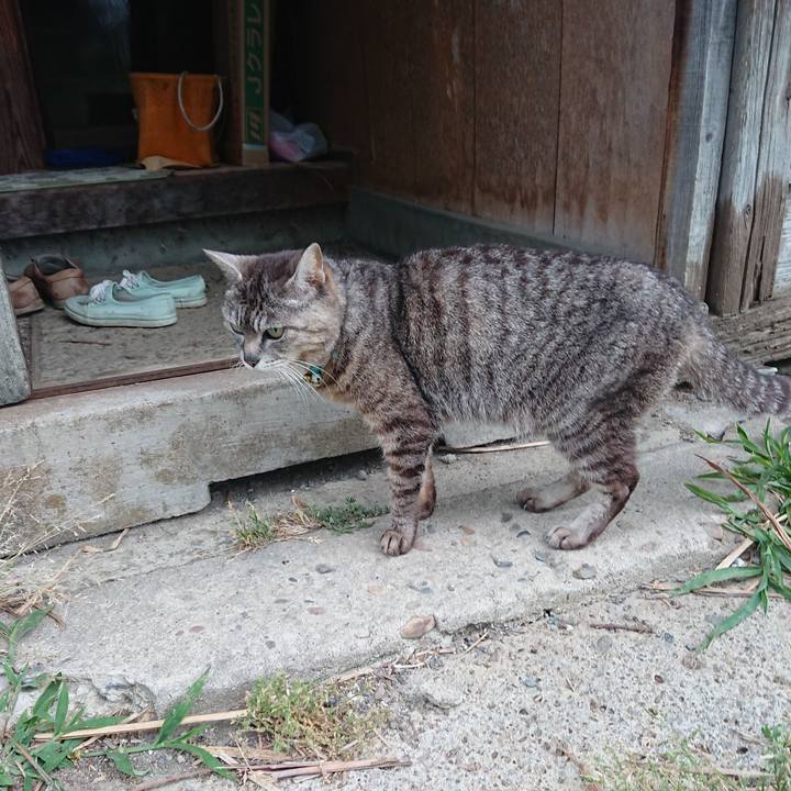 0f3bdaa5 5487 41a6 809c 99efa6c71f85 1559854493341