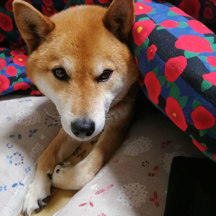 0f3c19bd 5335 4748 aad7 6f871c1268dd 1585400318945