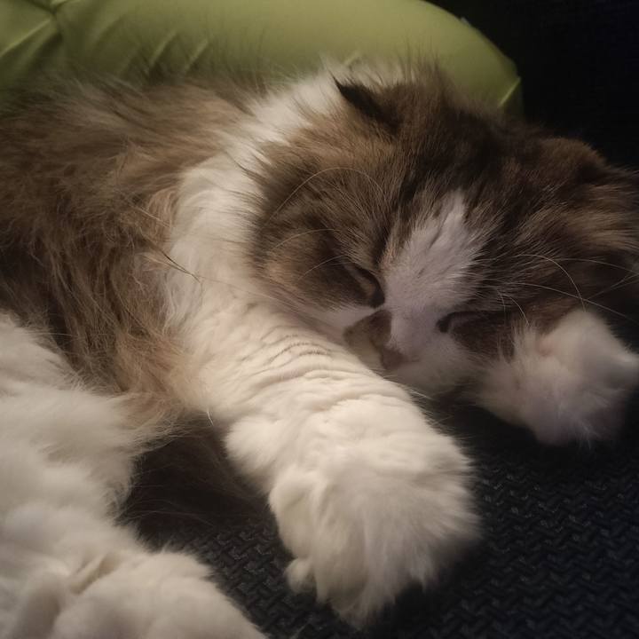 0f3c2be5 feae 4ee0 9f2e 43cd6af31178 1764945098300