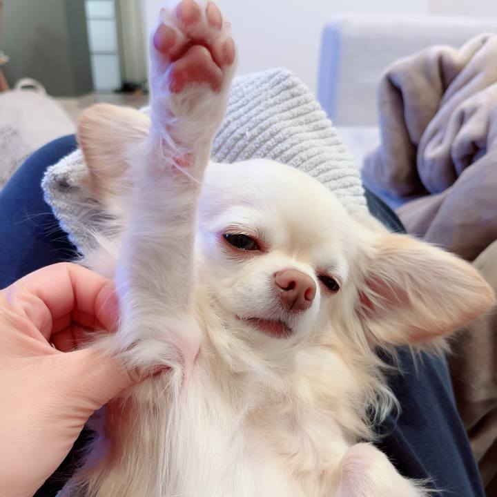 0f3c5f52 ca95 4e1c bacd 2ec12a114ad8 1712791488853