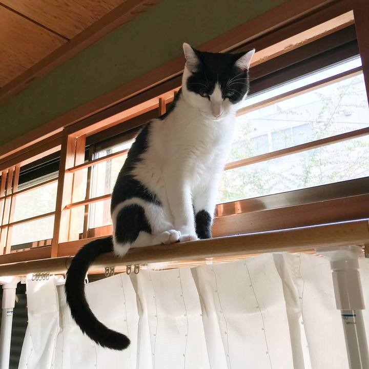 0f3c7e30 773e 4a3c b097 f8cbb38d90b9 1510406285223