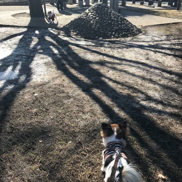 0f3c9c6d 729e 4f0b 9ea6 c6a585f95249 1516847393976