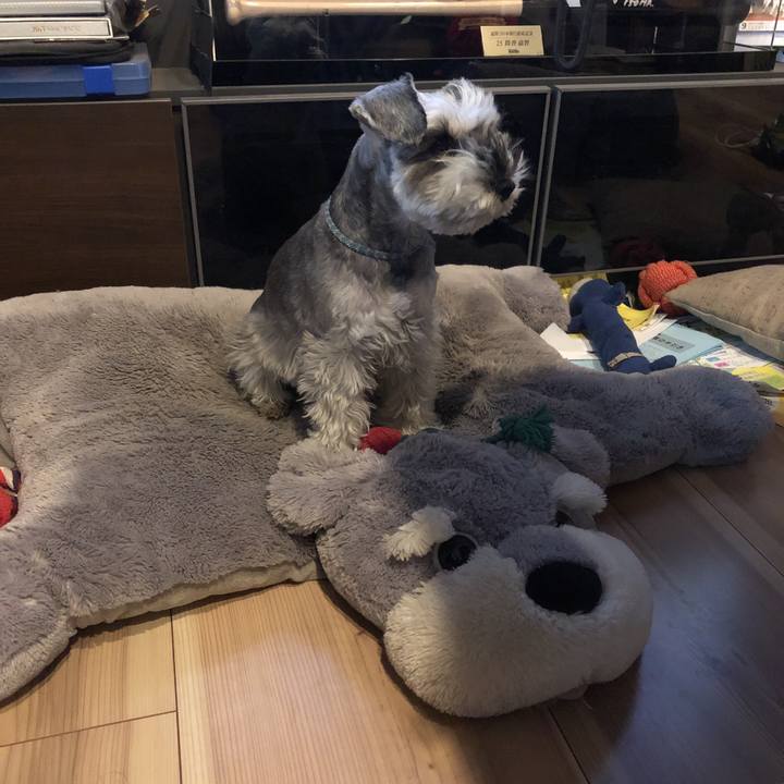 0f3ca900 91d0 492b b8c9 c79978e2df63 1549839545098