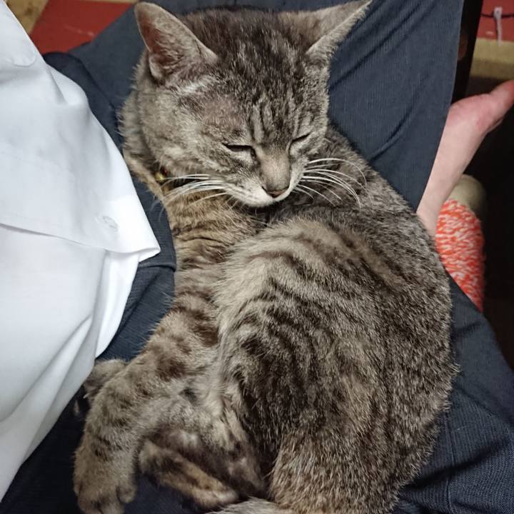 0f3cb548 9345 4569 b57a 04727e452c30 1556618876067