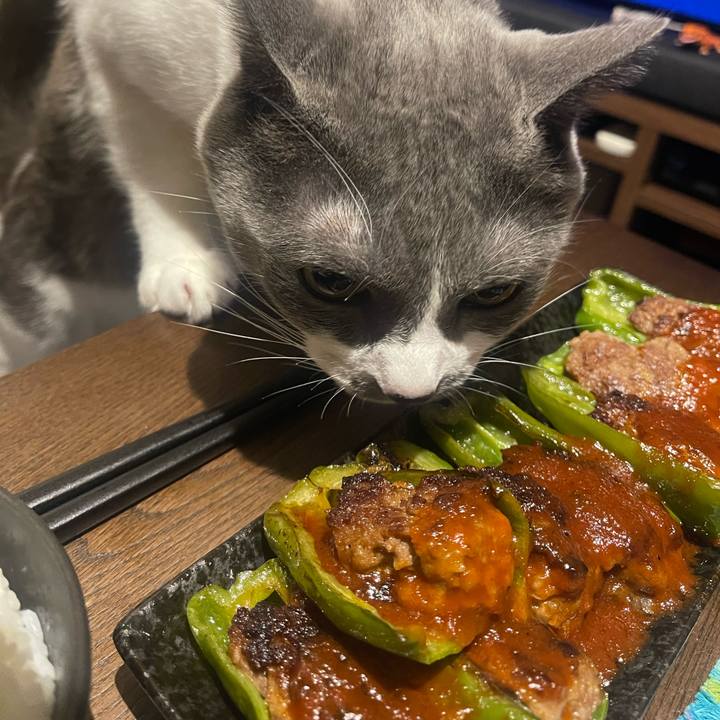 0f3cb844 557f 4cce 8760 32c00f539b02 1699524064536