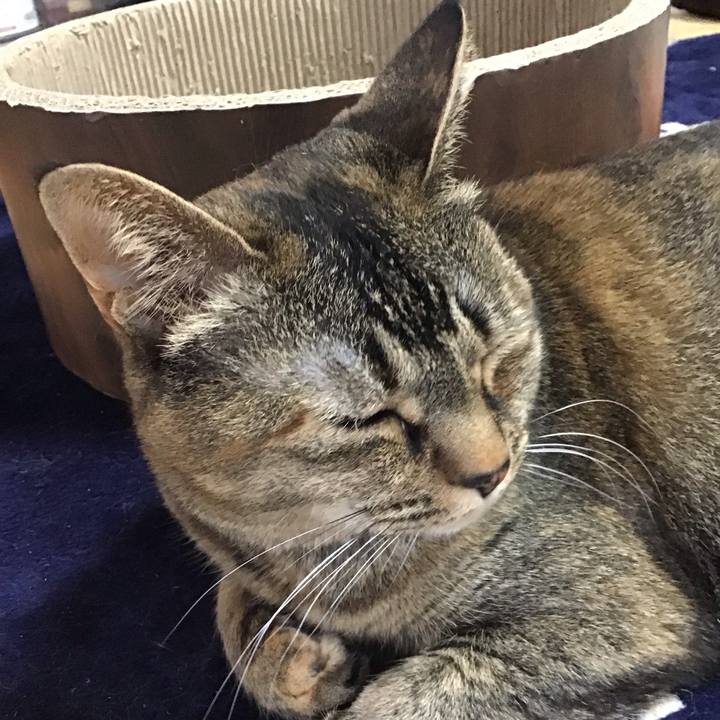 0f3cba57 b151 403f 92a9 fc09b9226c1e 1715225226100