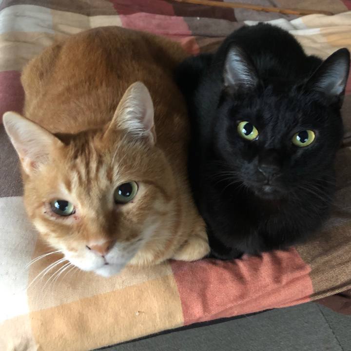 0f3cbf1c 8b0f 40c5 a7fa 9a11fa6b4c2f 1669419645023