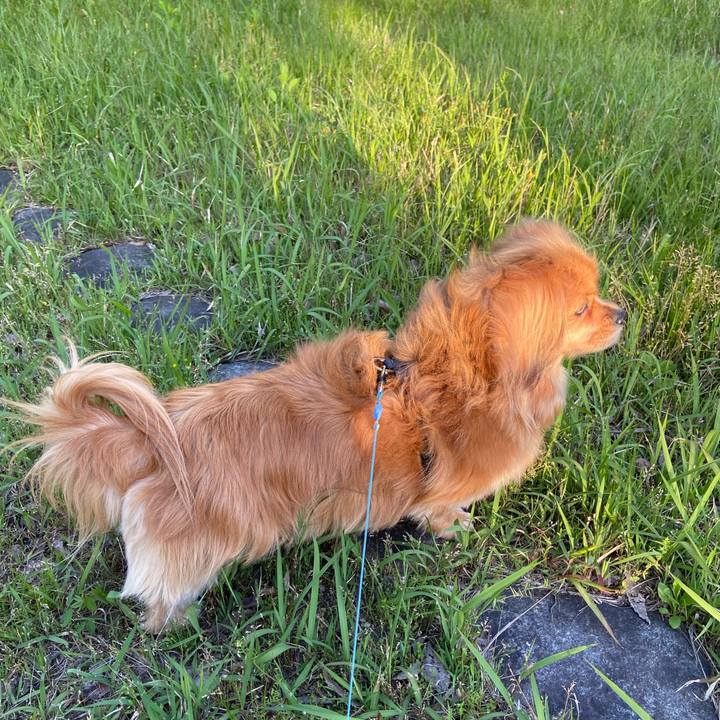 0f3cd5fa 3ea6 4948 b17a 70383c787c14 1619385793731