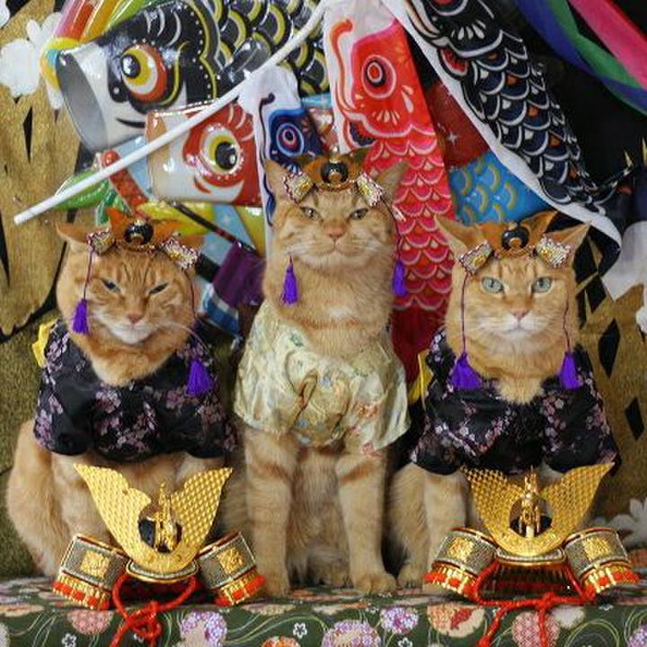 0f3cda38 f54e 4ac2 9b0b cc3a7adb9b50 1588568313341