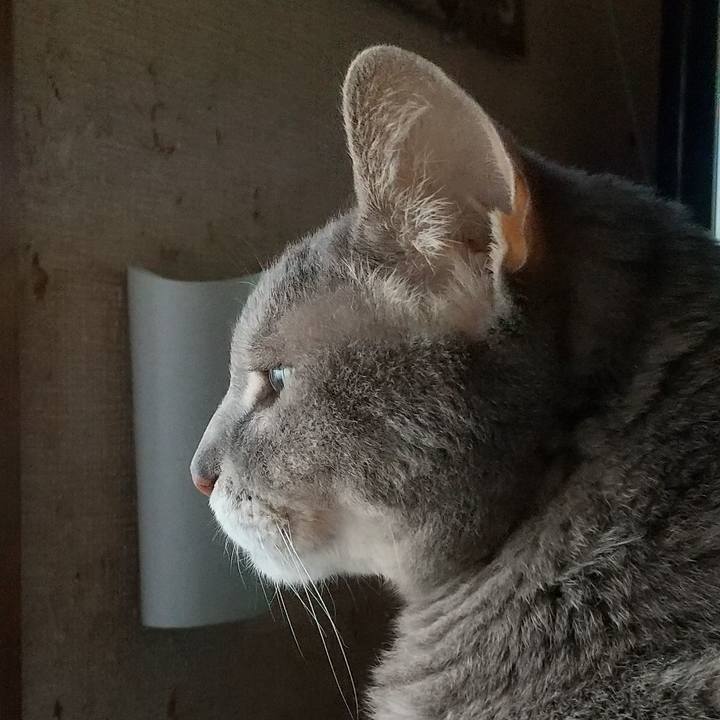 0f3cf26f f855 4130 abc2 21255c095ab3 1692075983094