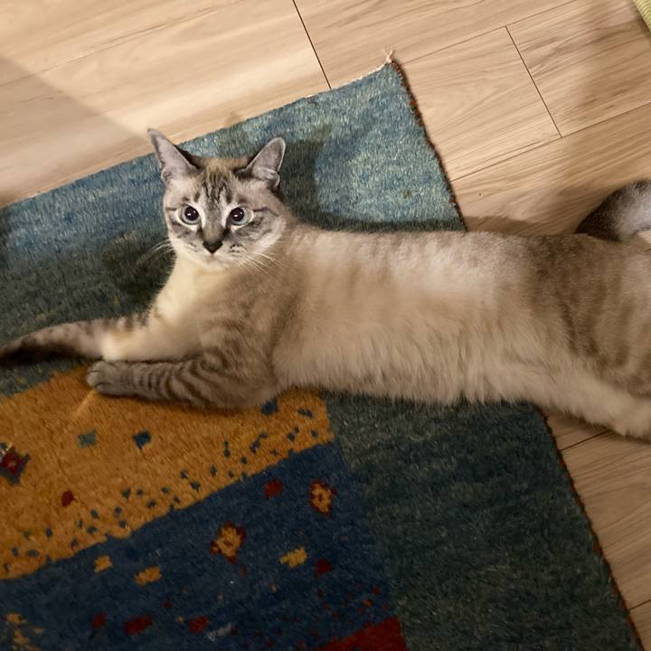 0f3d3687 e86f 4bbf a0fd bc1f98ade26c 1656806451412