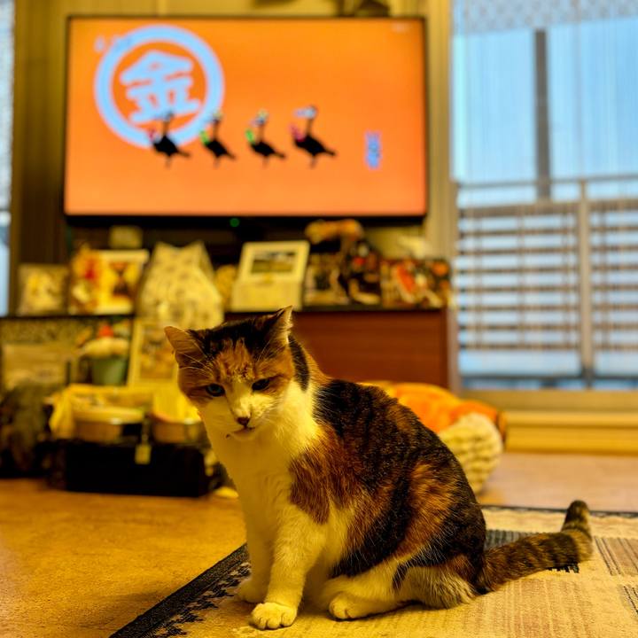 0f3d45b4 82be 4a08 84ad 0d020613b809 1703800842320