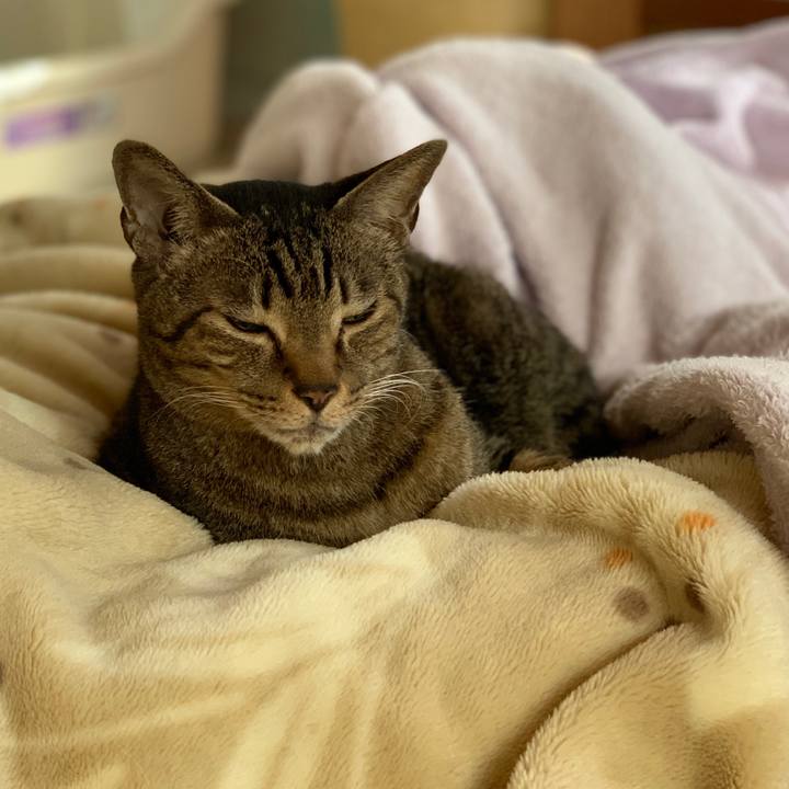 0f3d45c8 df8a 4eb8 9c04 2a66d13563fd 1549328769801