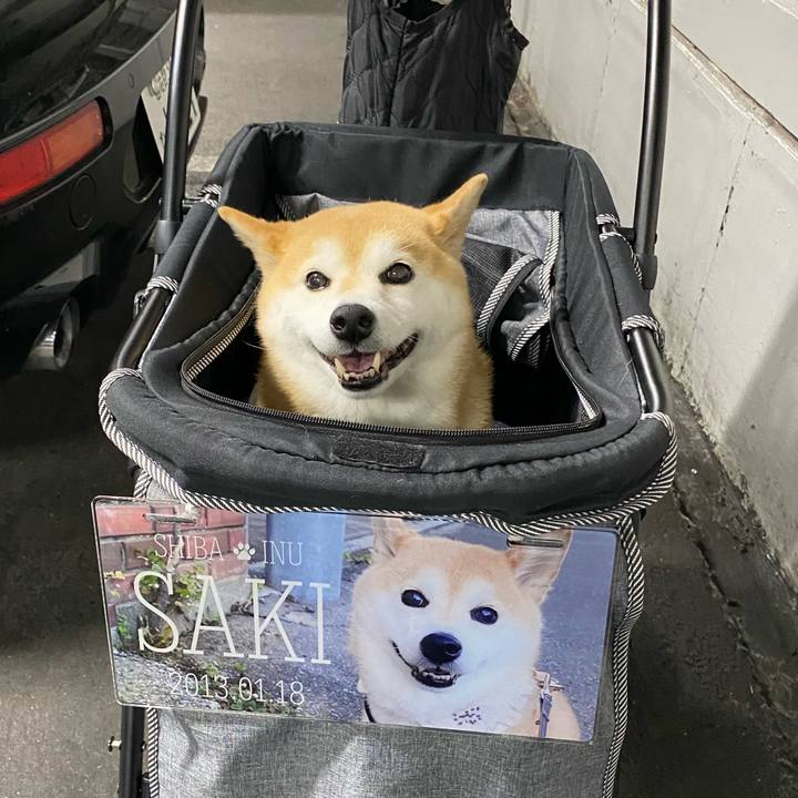 0f3d74ce 4d6a 489b 9721 74dae7f75ac4 1689259119789