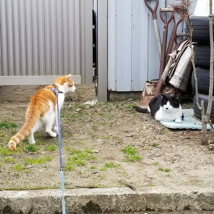 0f3da873 1230 4065 a069 fcffdecdf4fc 1523178438204