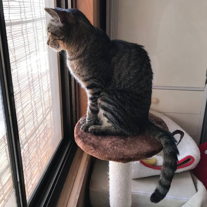 0f3dbaf4 a39f 4220 a380 0dbc8535b4e7 1529369758371