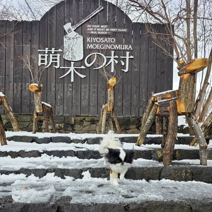 0f3dc851 b796 4269 8ef3 c0f2f1ffe5ac 1770803705291