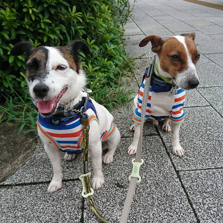 0f3df2f5 2236 4f46 8d94 be1a711953bf 1595894605311