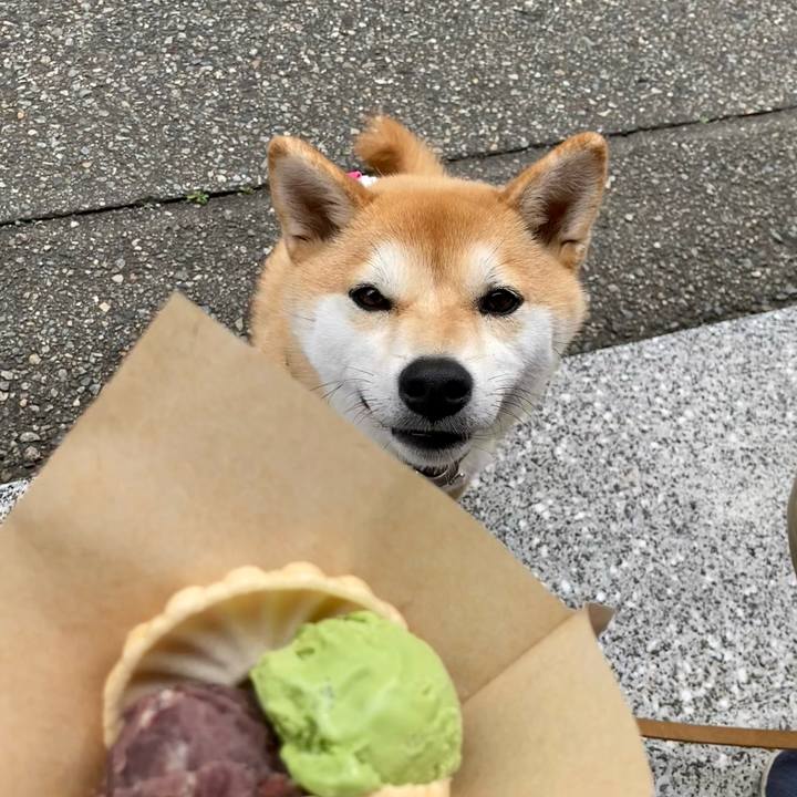 0f3df97f 6a5f 414d 8c0b 859d07706f4b 1686959661326