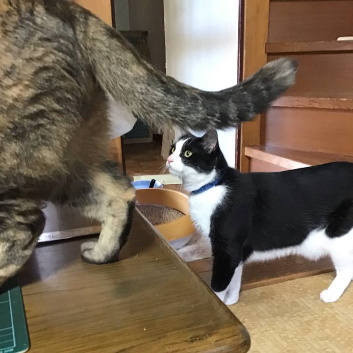 0f3e1db1 5ab7 4220 8e0c 9fb3595da9cf 1752479648441