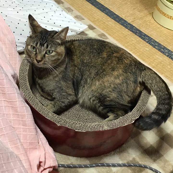 0f3e3f48 0798 447a 8d47 2d8a9ca68dbe 1605830454840