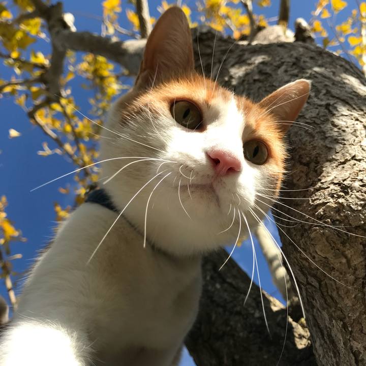 0f3e4ace 7956 4914 8e10 b8eca3929eca 1510190553920