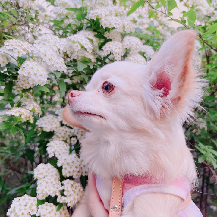 0f3e5979 b284 4c31 a762 fcef4c4a853e 1681805990992