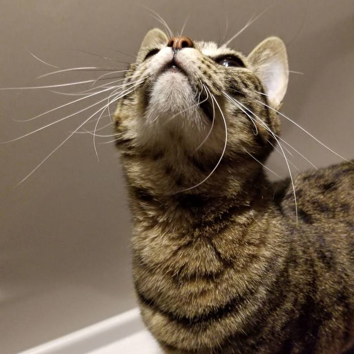 0f3e676c b7ff 4dc9 86ab cca0637eaa57 1585586969001