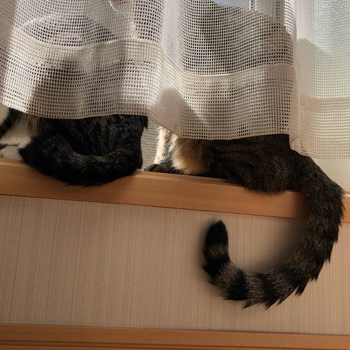 0f3e9aec a0b6 49c9 b3ff 888d71b04cd3 1552505528703