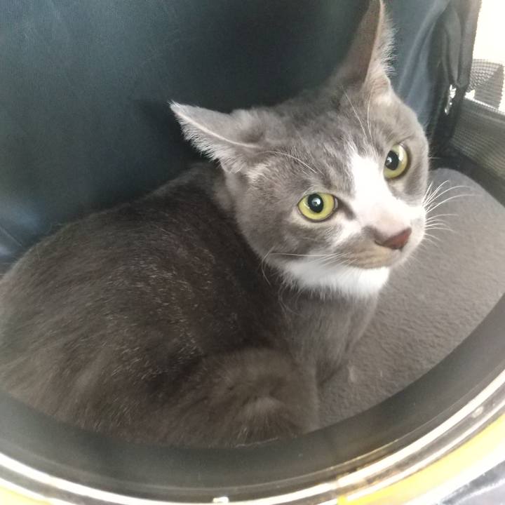 0f3edda8 2db1 45e5 889f 03da59b19153 1619225694876