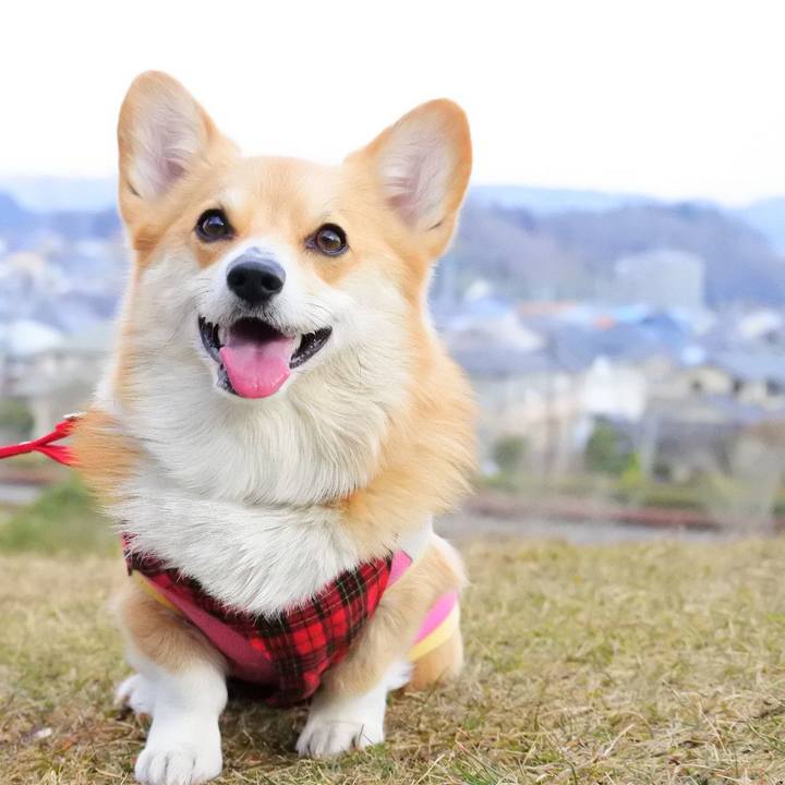 0f3f0486 22e6 478f 9c00 a26e7f2f59fa 1551526074236