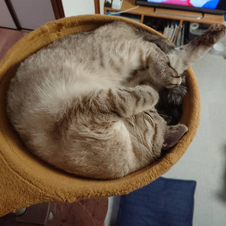 0f3f07a8 f8be 478d 930d b0345afe3a43 1570060532293