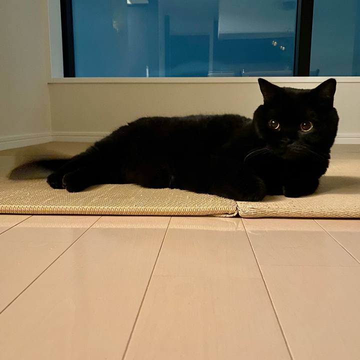 0f3f2eae 58d0 4e48 be3f bb2777c5750a 1664012250576