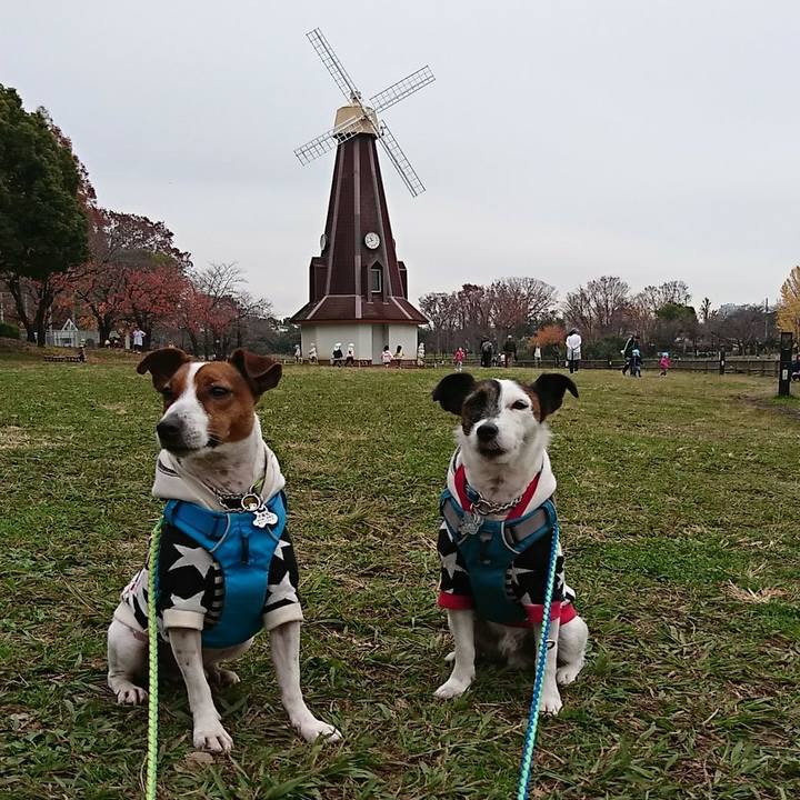 0f3f5e16 ce60 4677 a705 e0773c5048a0 1576028826430