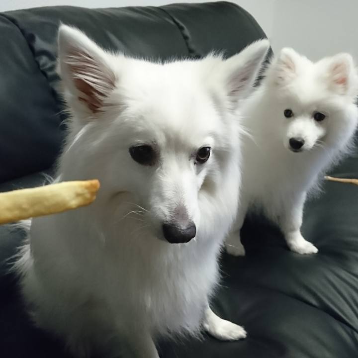 0f3f5f9d 7ba5 41b4 9798 305f8a592fb2 1549707844443