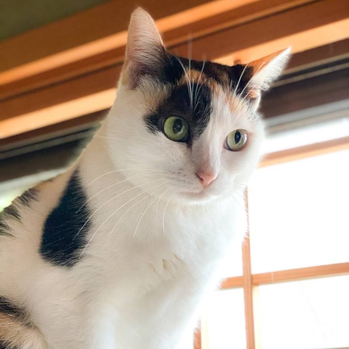 0f3f861b d063 4e72 a3ee f906f0a72922 1571794756705