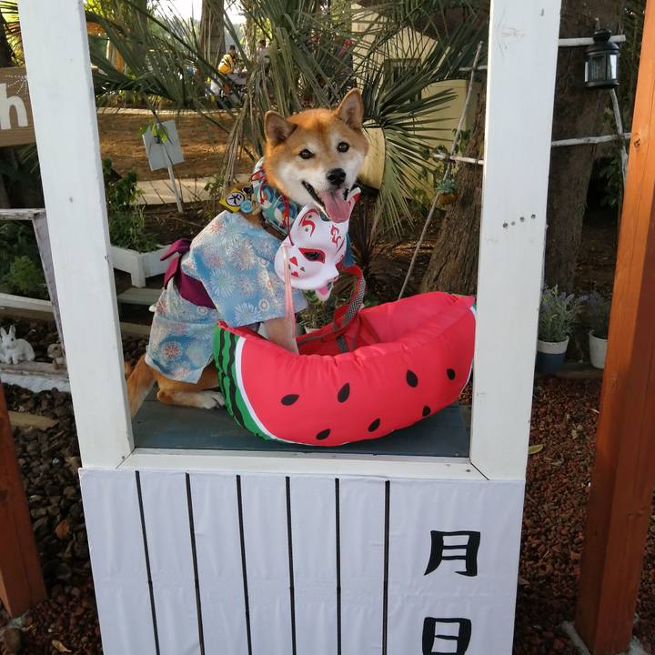 0f3fb7ec a900 4102 b0fe 95161dafb56a 1692894843119