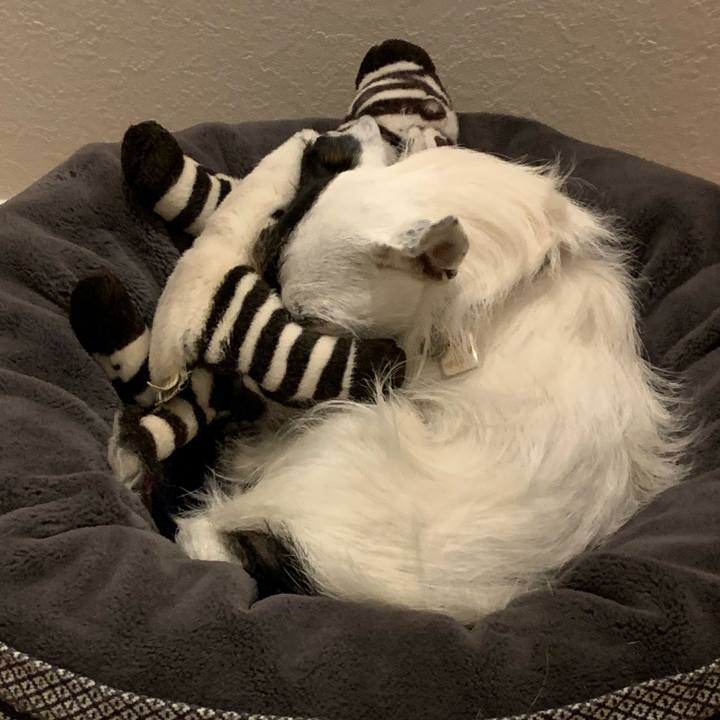 0f3fbbbe 2718 45c2 b731 8caabed5e01c 1673357642286