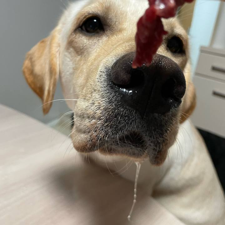 0f3fcdae dea0 4ef4 a3fd 34894e81a7df 1658066425267