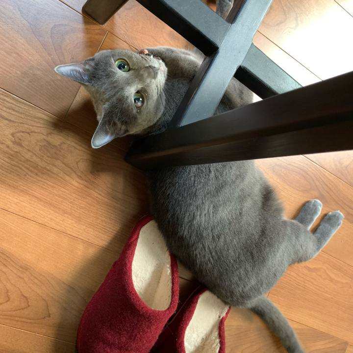 0f405d11 f123 4746 8954 c87fcecb3107 1602661494975