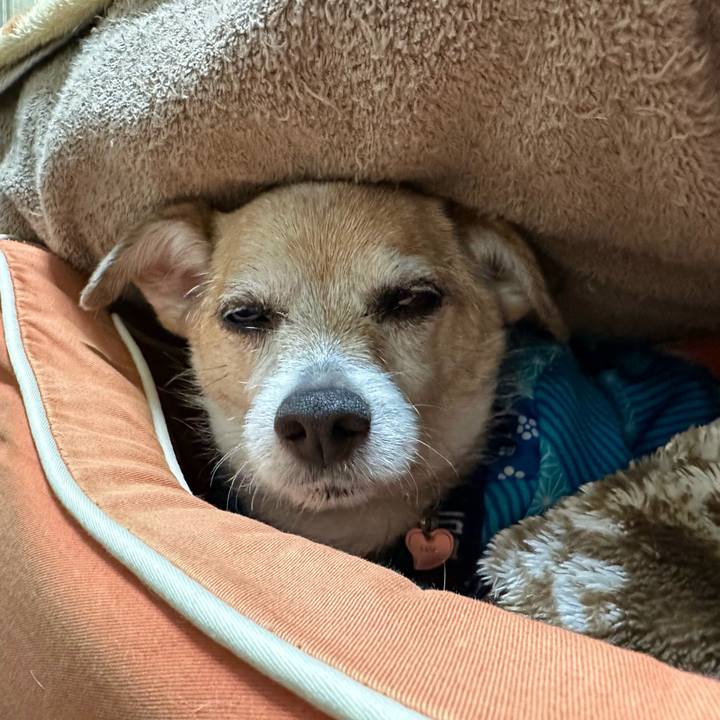 0f40a86b c29f 446a a6b0 de2e09d533cf 1675679161997