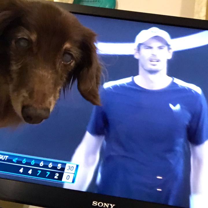 0f40b535 9c1f 42c3 9be7 32fdff3ef154 1547467508270