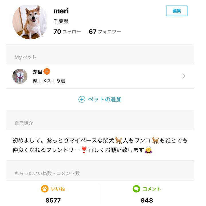 0f40e1f9 1346 46c7 9d09 f0281f2397ac 1721735829277