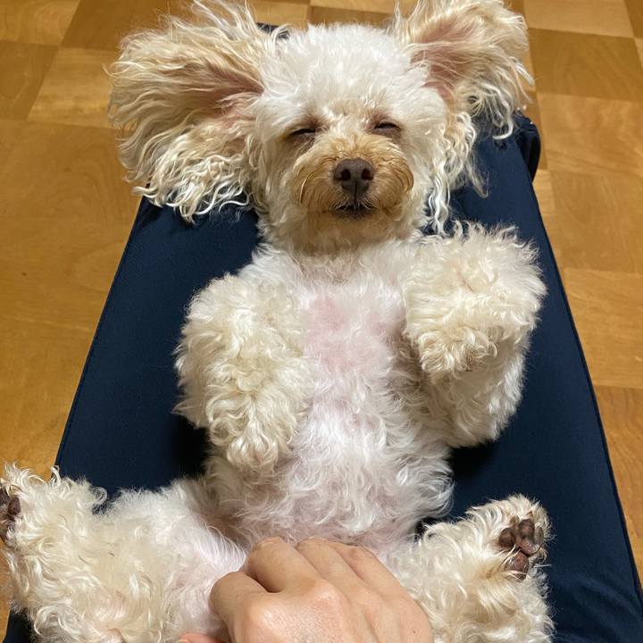 0f40e2f4 6c3c 4f9b 994e 61246953d1e3 1623755587990