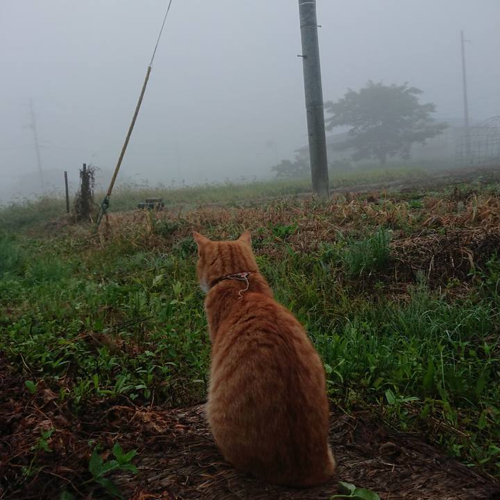 0f41225c de66 4275 8757 74fd6fb14d23 1568494553028